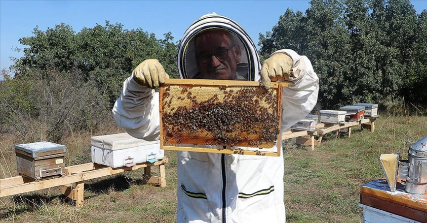 Bal ormanlarıyla ülke ekonomisine katkı