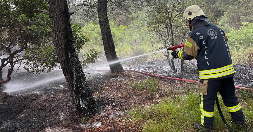 Ormanlık alanda çıkan yangın söndürüldü