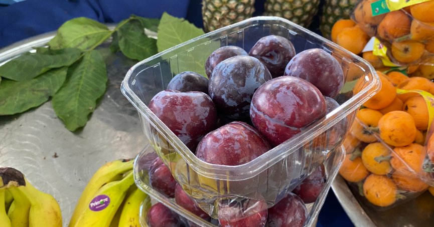 Kırmızı erik pazar tezgahlarına geldi