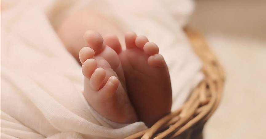 Doğurganlık hızı düşüşü, emeklilik sisteminde yükü artıracak