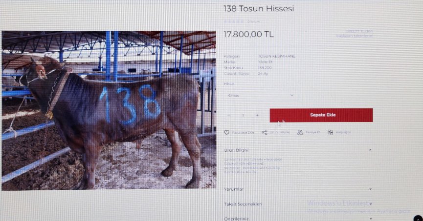 Türkiye’de bir ilk: Dijital kurban pazarı kuruldu