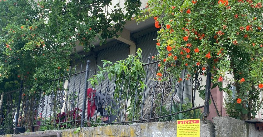 Ağaçtan düşerek demir korkuluklara saplandı