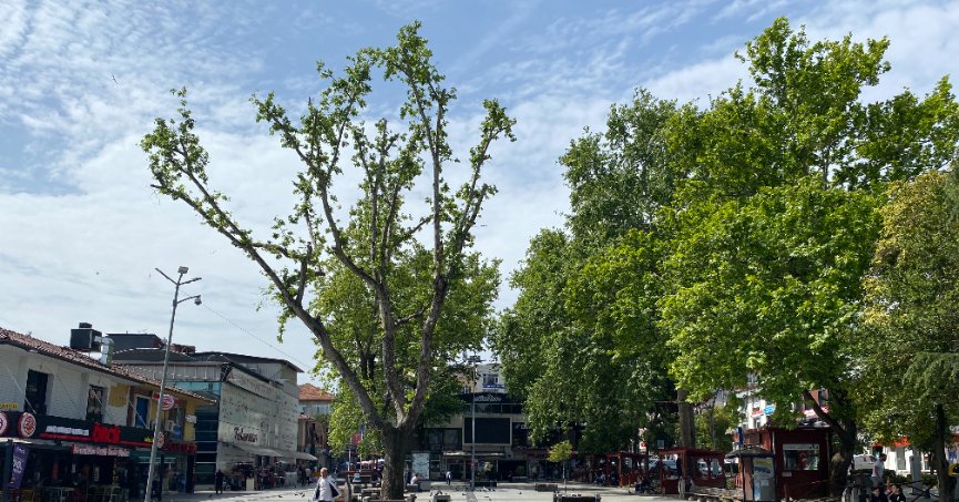 Hava sıcaklıkları giderek yükselecek
