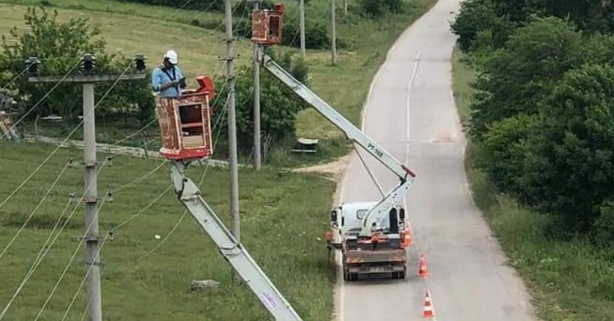 SEDAŞ, leyleklerin göç yollarında tedbir alıyor