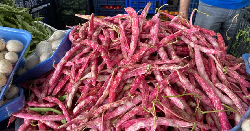 Pazarda barbunya 100 liradan satışta