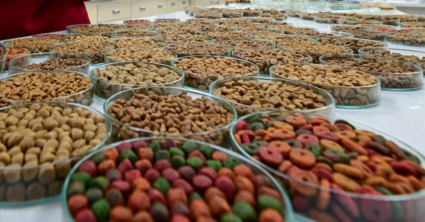 Kedi ve köpek maması sektörü giderek büyüyor
