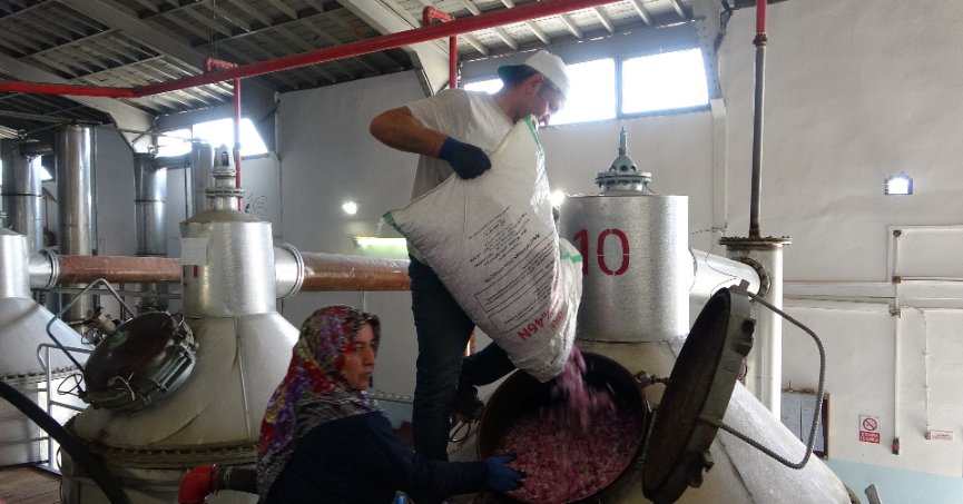 4 tondan 1 litre çıkıyor,  litresi 400 bin TL