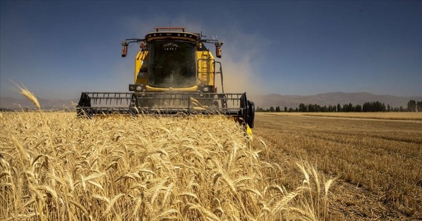 Tarımsal girdi fiyat endeksi nisanda yıllık yüzde 52,2 arttı   