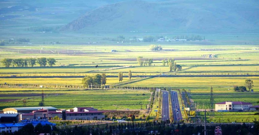 Doğu’da arazilerin yüzde 68’i ekiliyor