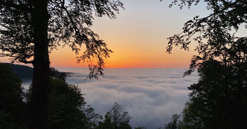 Sis denizinde gün batımı mest etti