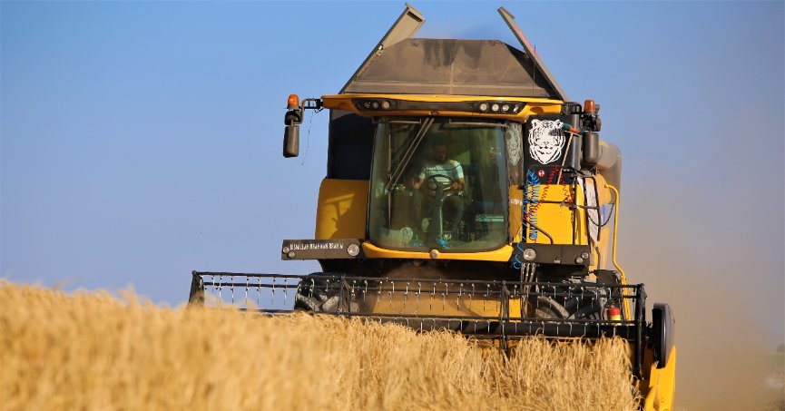 Hububat hasadında kuraklık alarmı