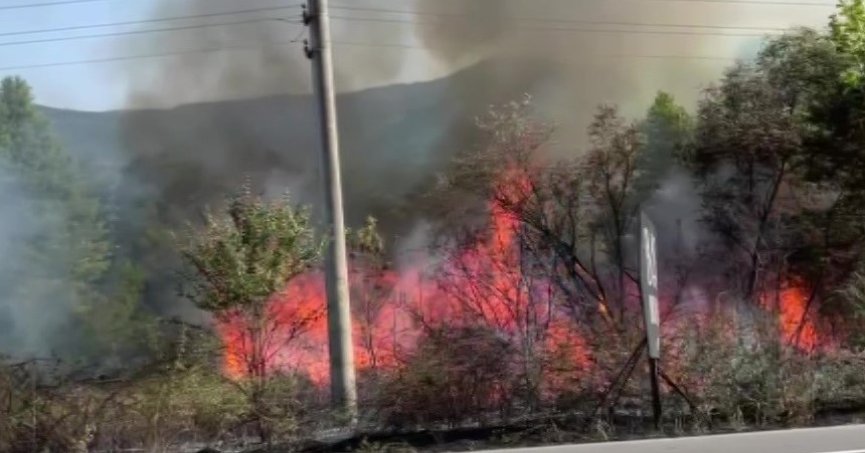 10 hektar ağaçlık alan küle döndü