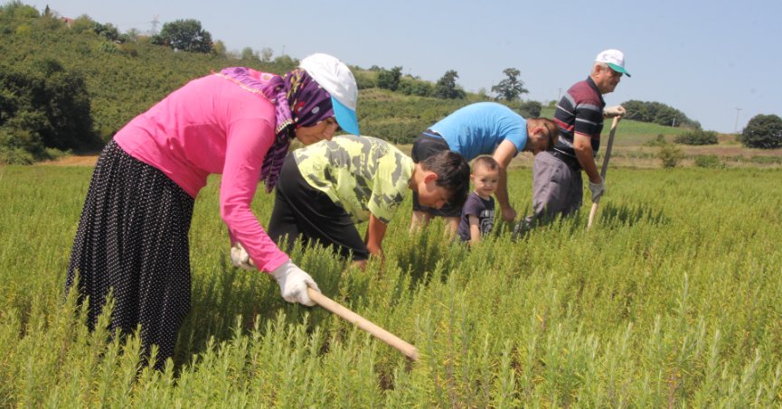 Çocukları ve torunlarına toprak sevgisi aşıladı