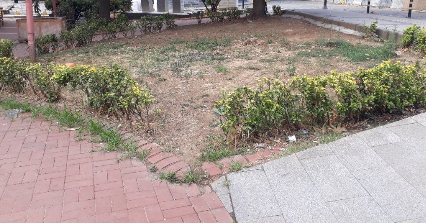 Toprak alanlar yeşile dönüştürülmeli’