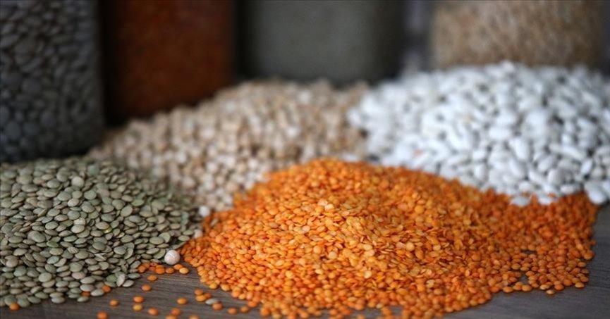 7 aylık hububat ihracatı 6,8 milyar dolar oldu