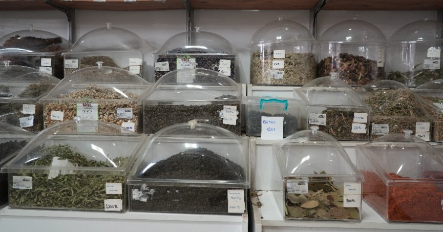 Yazın gözdesi bitkisel ürünler