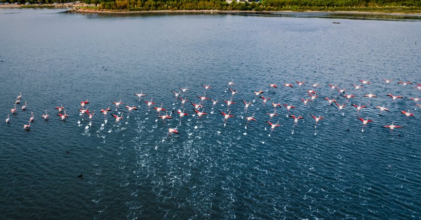 Fotoğraf yarışmasına başvurular başladı