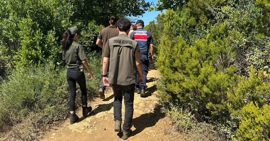 Sahil ve ormanlık alanlarda izinsiz çadır kuranlara ceza