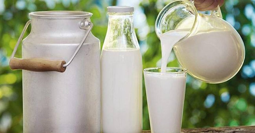 Süt üretimi yıllık bazda arttı, aylık bazda azaldı