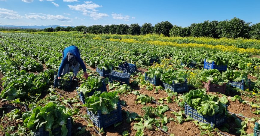 Tarımsal girdi fiyat endeksi yıllık yüzde 33,88 arttı