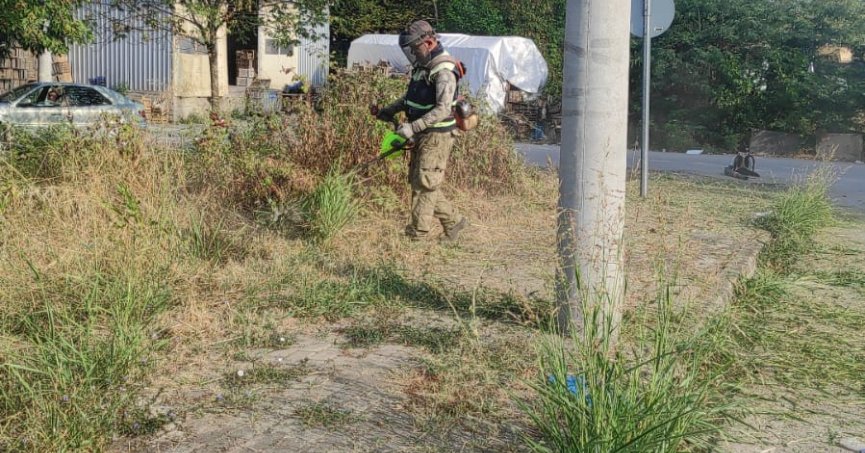 Yabani ot temizliği çalışmaları sürüyor