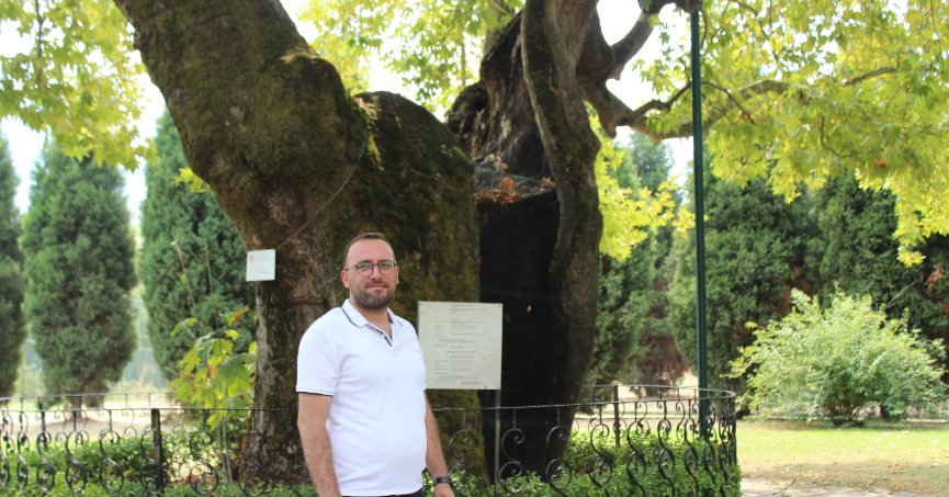 930 yıllık çınar hayran bırakıyor