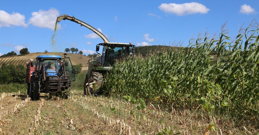 Yatırımlarla yıllık hasat kat kat arttı