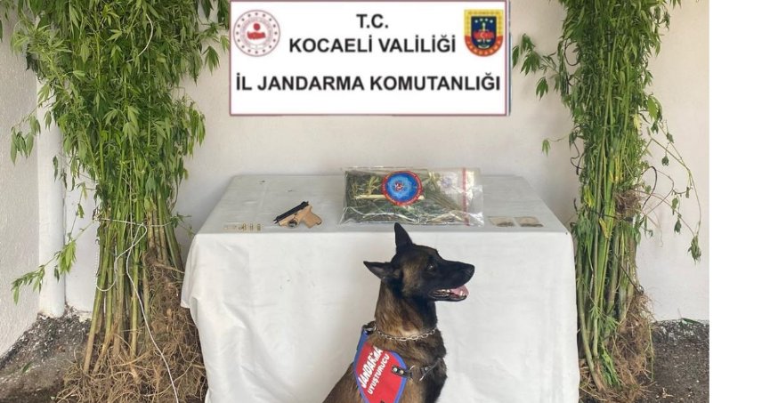 Jandarma, uyuşturucu tacirlerine geçit vermedi