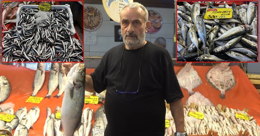 Sezon açıldı, tezgahlarda hamsi ve istavrit bolluğu