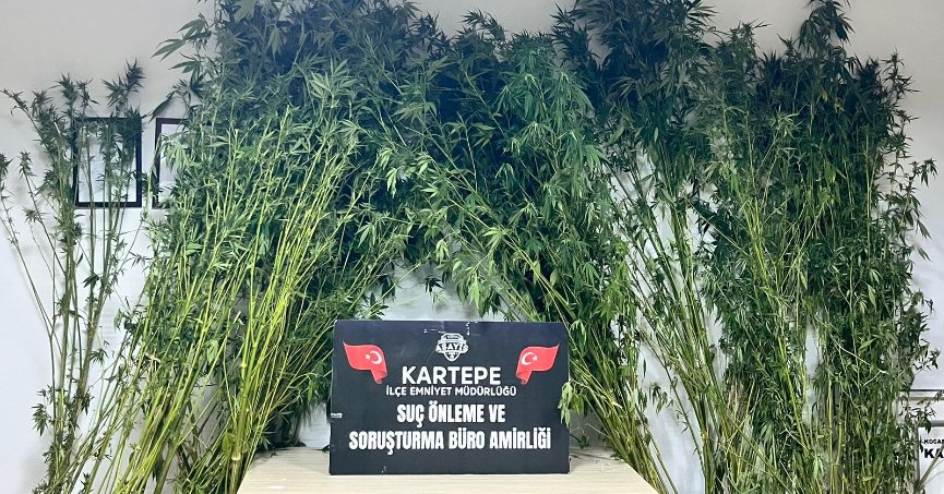 Uyuşturucu operasyonu: 1 tutuklama