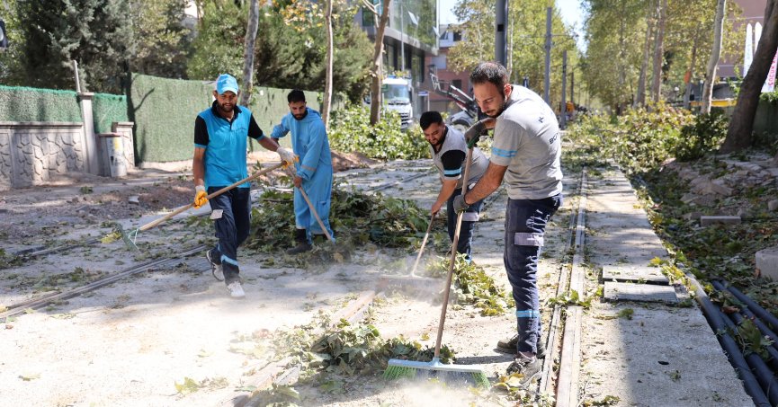 Alikahya Tramvay Hattı’nda  ağaçlar budanıyor