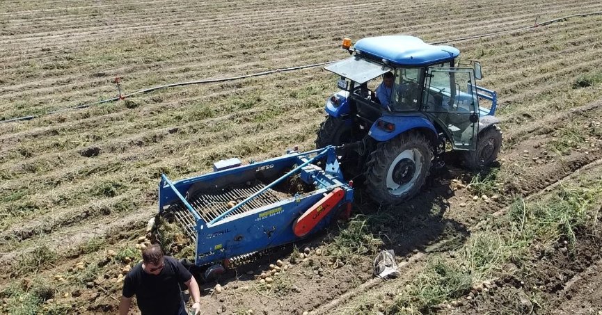 Kışlık patateste  hasat başladı   