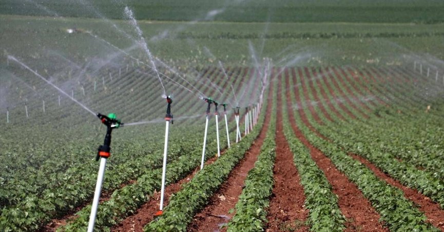 Bitkisel üretimde  destekler belirlendi