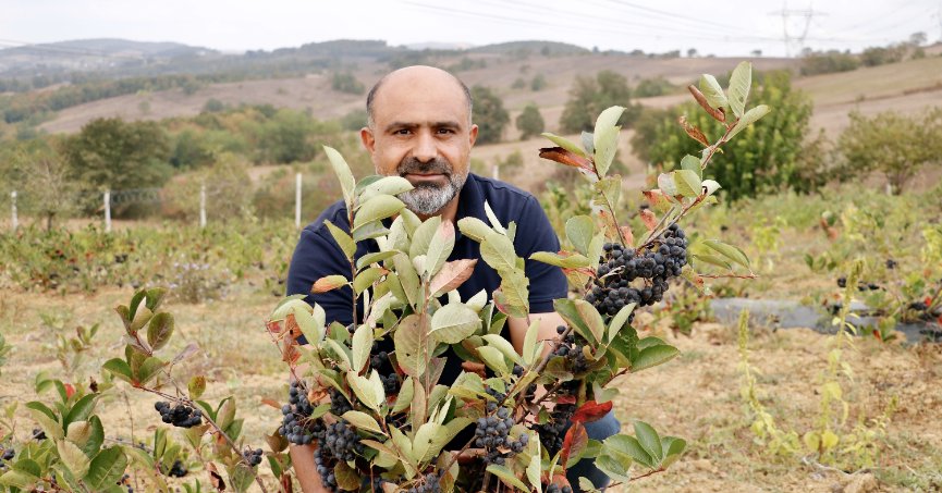 Aronya ile iş stresini atıyor