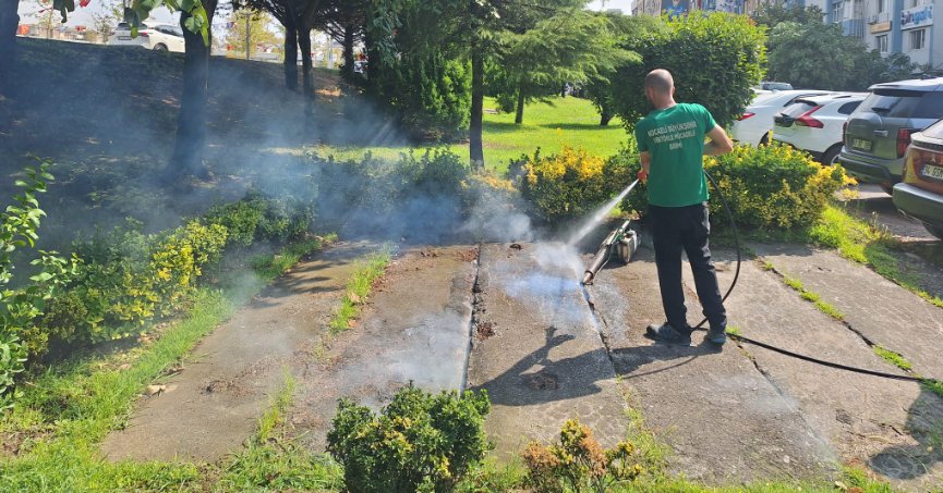 Vektörle mücadele hızla devam ediyor