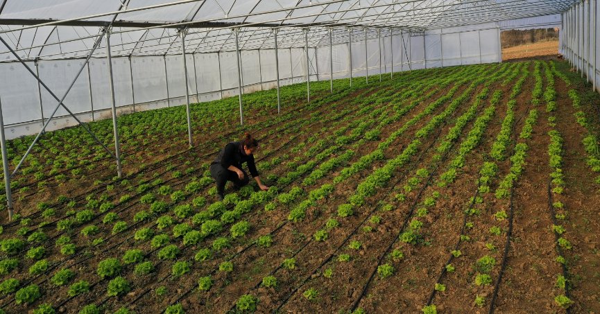 Çiftçilere modern sera desteği