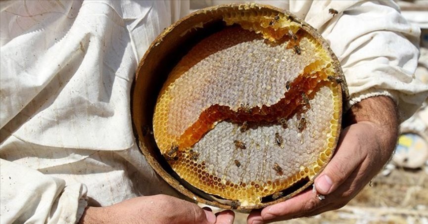 9 ayda 23,4 milyon dolarlık bal ihracatı