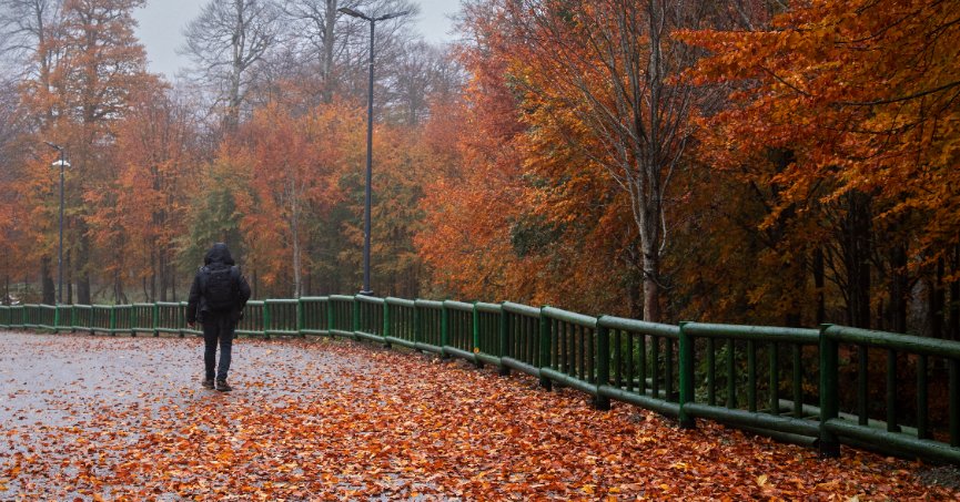 Kartepe sonbaharda bir başka güzel
