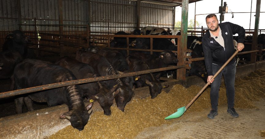 Kocaeli’de, manda sayısında artış oldu