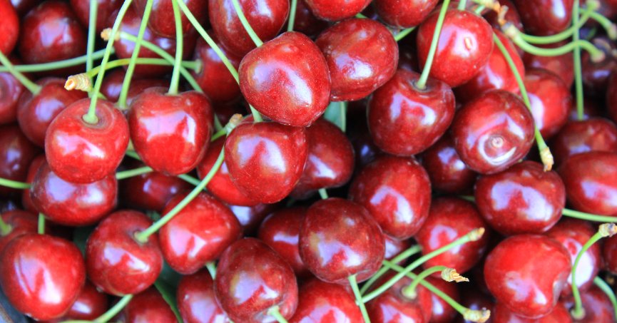 Dondurulmuş kirazda dünya lideriyiz