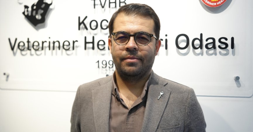 Boyalı köpekler merak uyandırdı