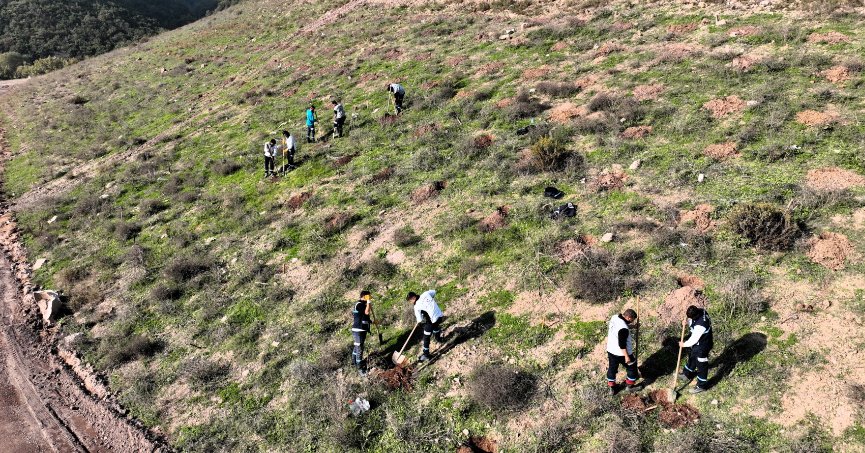 Büyükşehir’den kapsamlı ağaçlandırma çalışması