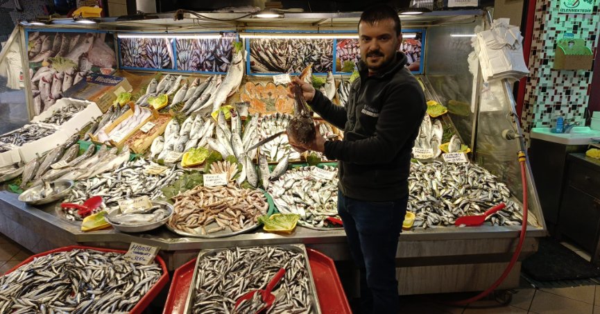 Çinekopta belirgin bolluk yaşanıyor