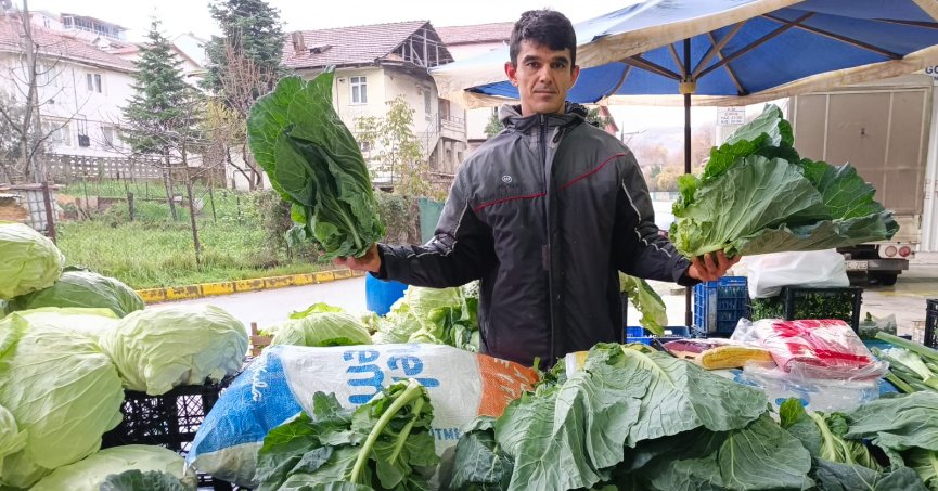 Azman lahana pazara giriş yaptı