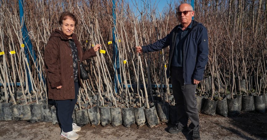 Büyükşehir’den üreticilere fidan desteği