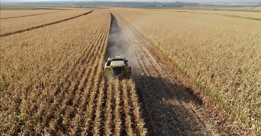 Tarım ÜFE kasımda aylık bazda yüzde 1,56 azaldı