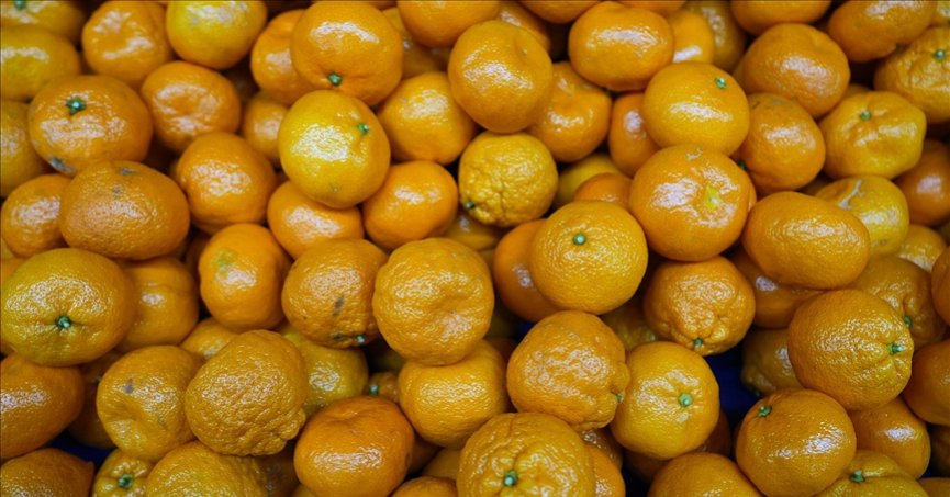 Türkiye’nin mandalina ihracatı rekora ulaştı