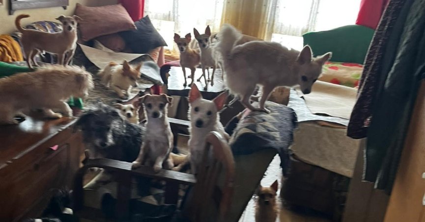 Kapı açılınca karşılaşılan manzara şoke etti