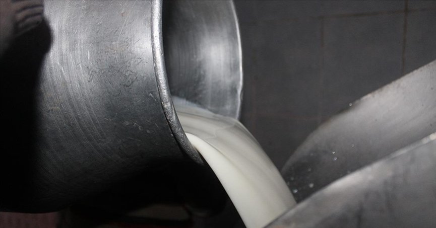 Çiğ süt tavsiye fiyatı arttı