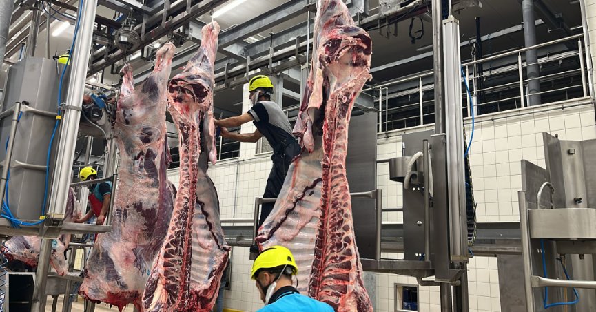 Büyükşehir Mezbahası’nda 6 bin 29 kesim yapıldı